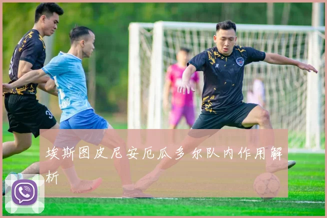 埃斯图皮尼安厄瓜多尔队内作用解析