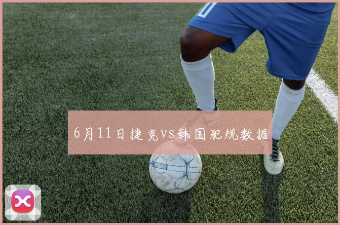 6月11日捷克vs韩国犯规数据