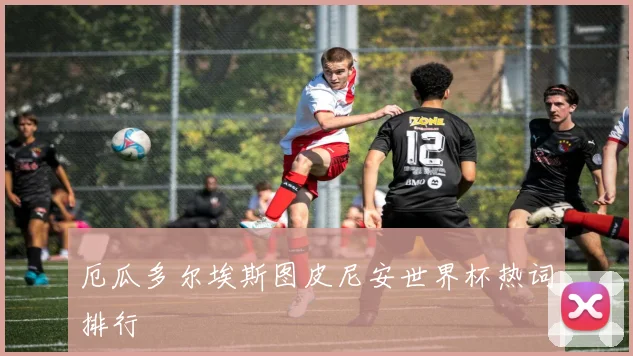 厄瓜多尔埃斯图皮尼安世界杯热词排行