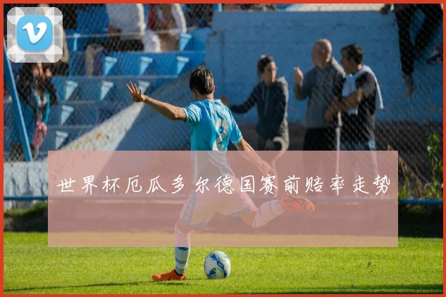 世界杯厄瓜多尔德国赛前赔率走势