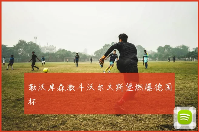 勒沃库森激斗沃尔夫斯堡燃爆德国杯