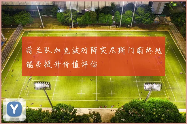 荷兰队加克波对阵突尼斯门前终结能否提升价值评估