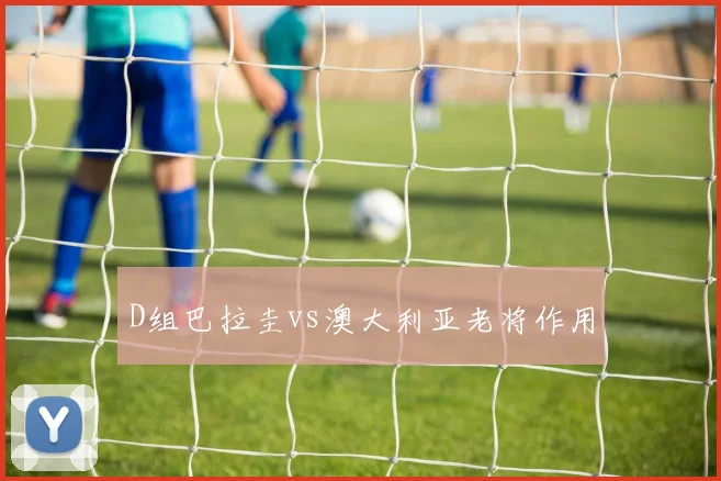 D组巴拉圭vs澳大利亚老将作用